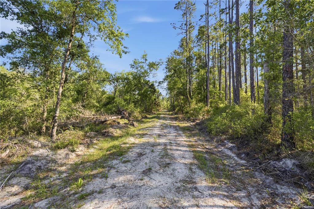 Property for sale at TBD NE 125TH AVENUE, FORT MC COY, FL, 32134