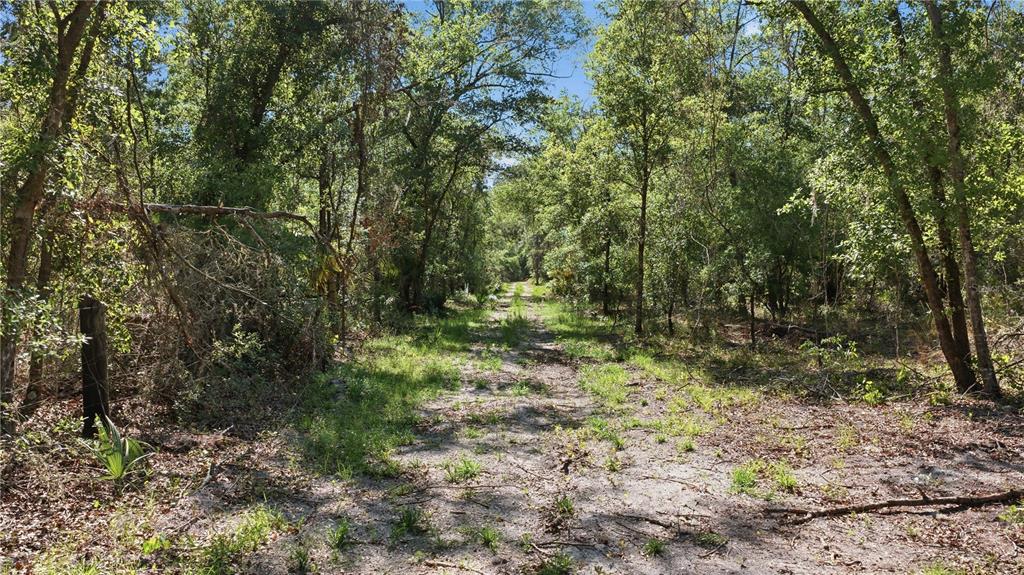 Property for sale at TBD NE 125TH AVENUE, FORT MC COY, FL, 32134