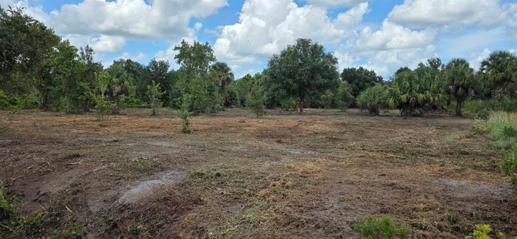 Property for sale at 16171 NW 254TH STREET, OKEECHOBEE, FL, 34972