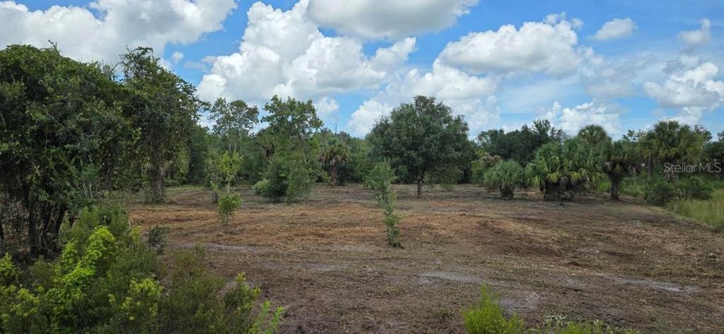 Property for sale at 16171 NW 254TH STREET, OKEECHOBEE, FL, 34972
