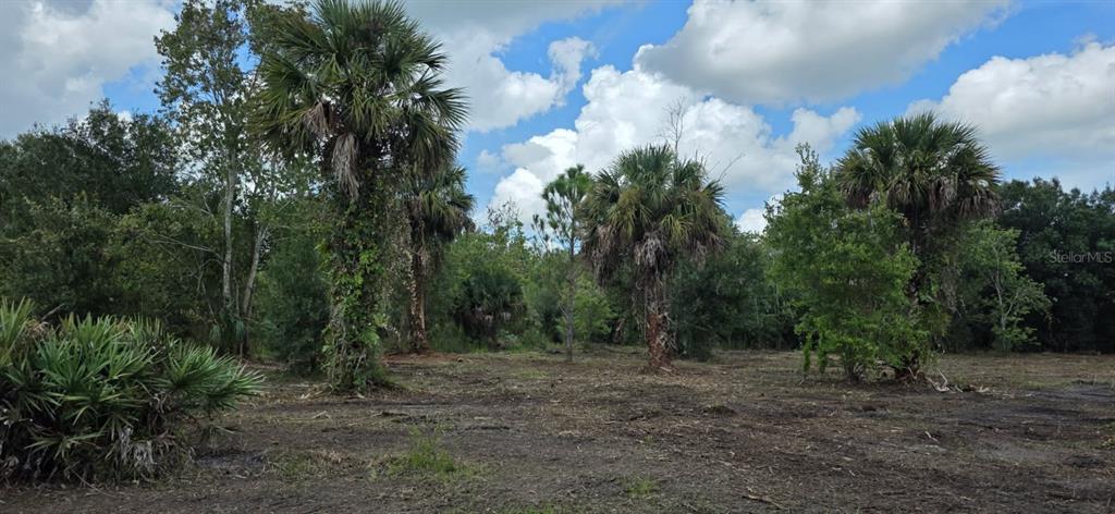 Property for sale at 16171 NW 254TH STREET, OKEECHOBEE, FL, 34972