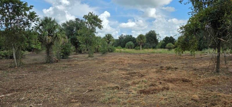 Property for sale at 16171 NW 254TH STREET, OKEECHOBEE, FL, 34972