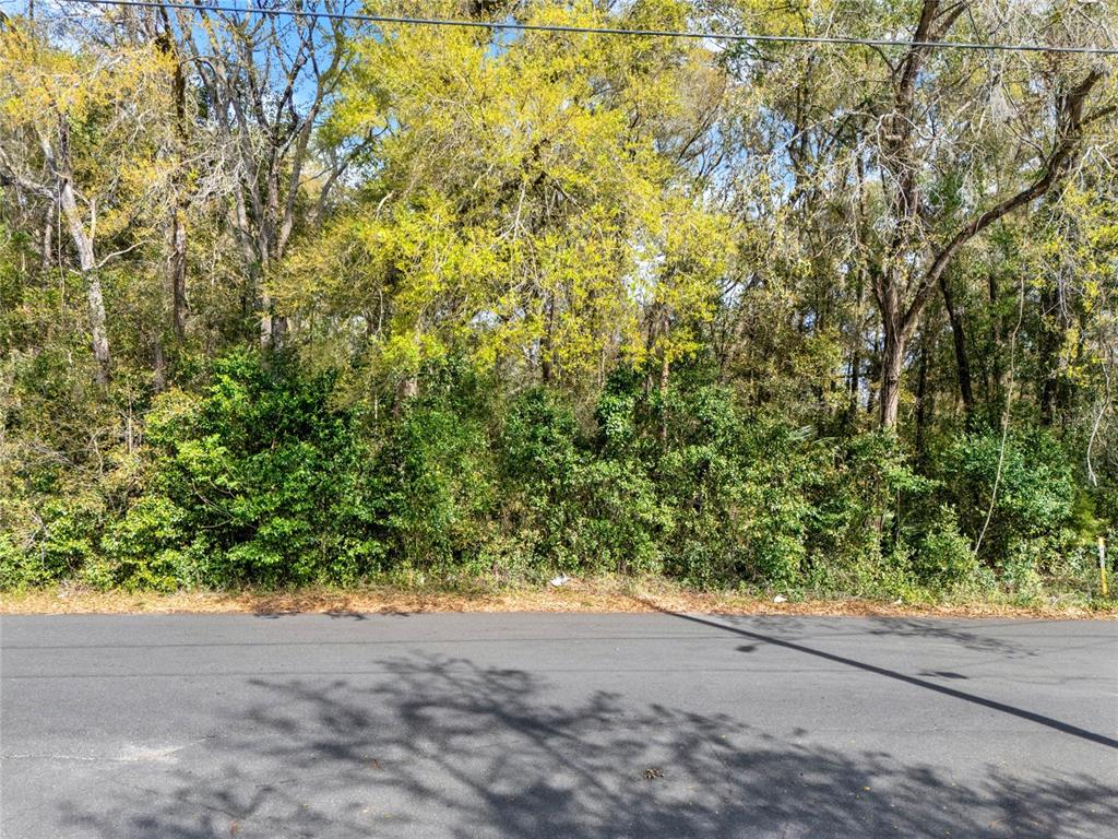 Property for sale at 709 S SMITH AVENUE, INVERNESS, FL, 34453