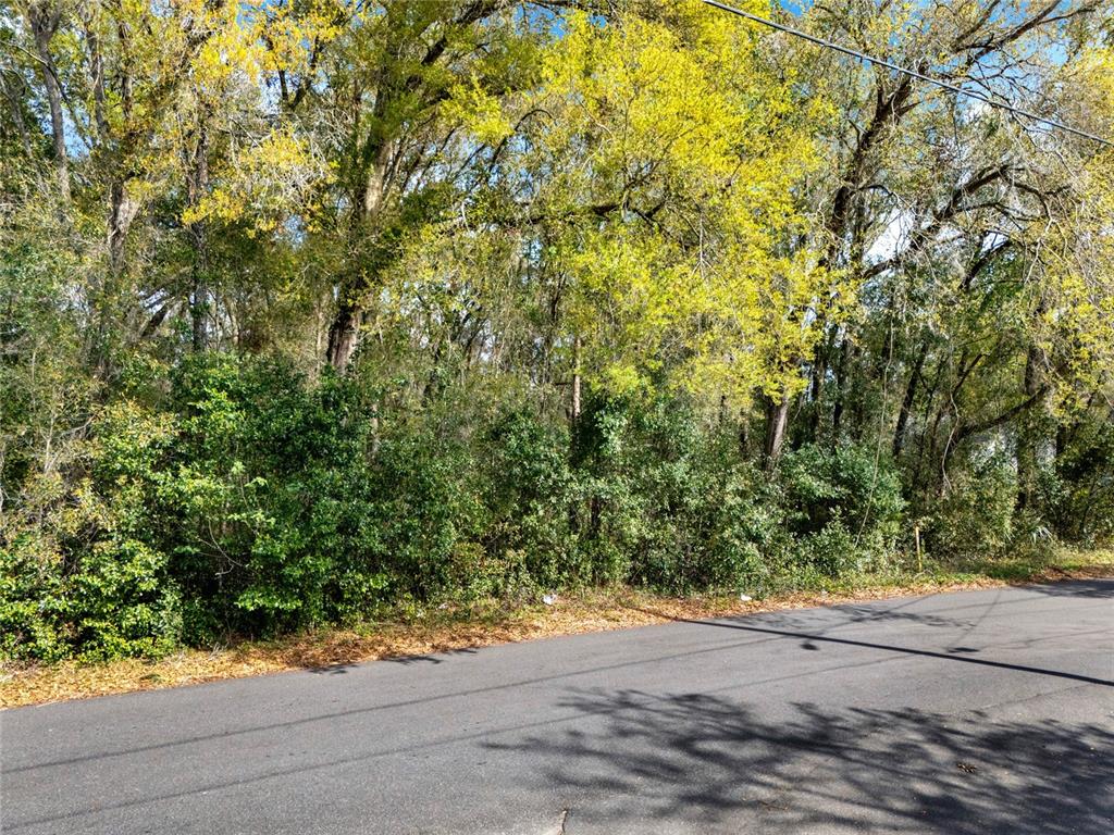 Property for sale at 709 S SMITH AVENUE, INVERNESS, FL, 34453