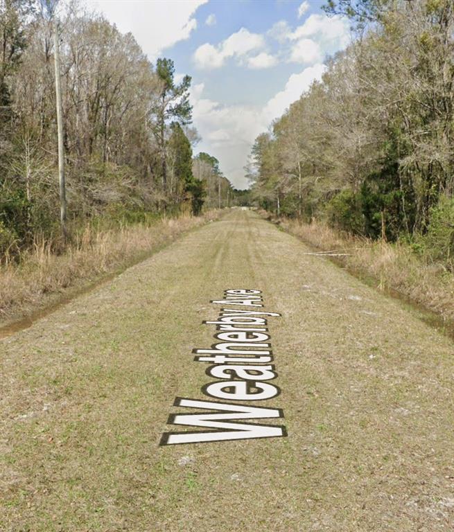 Property for sale at 10160 WEATHERBY AVENUE, HASTINGS, FL, 32145