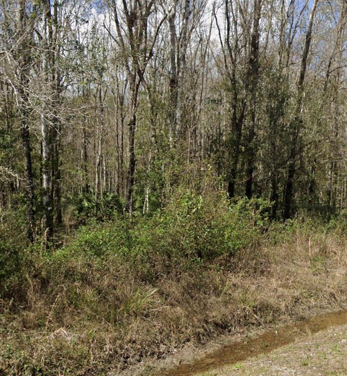 Property for sale at 10160 WEATHERBY AVENUE, HASTINGS, FL, 32145
