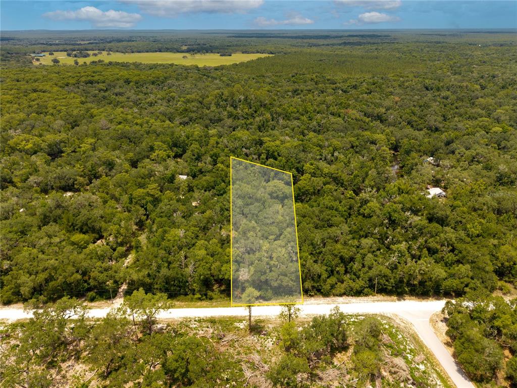 Property for sale at 7353 RIVERVIEW DRIVE, WEBSTER, FL, 33597