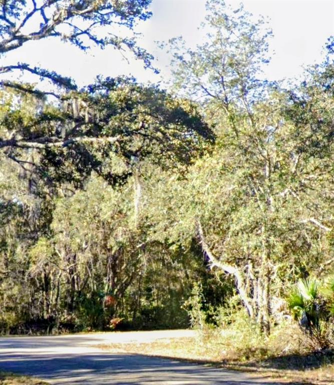 Property for sale at LOT 15 FISHER LN WAY, OCKLAWAHA, FL, 32179