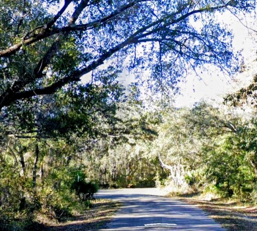 Property for sale at LOT 15 FISHER LN WAY, OCKLAWAHA, FL, 32179