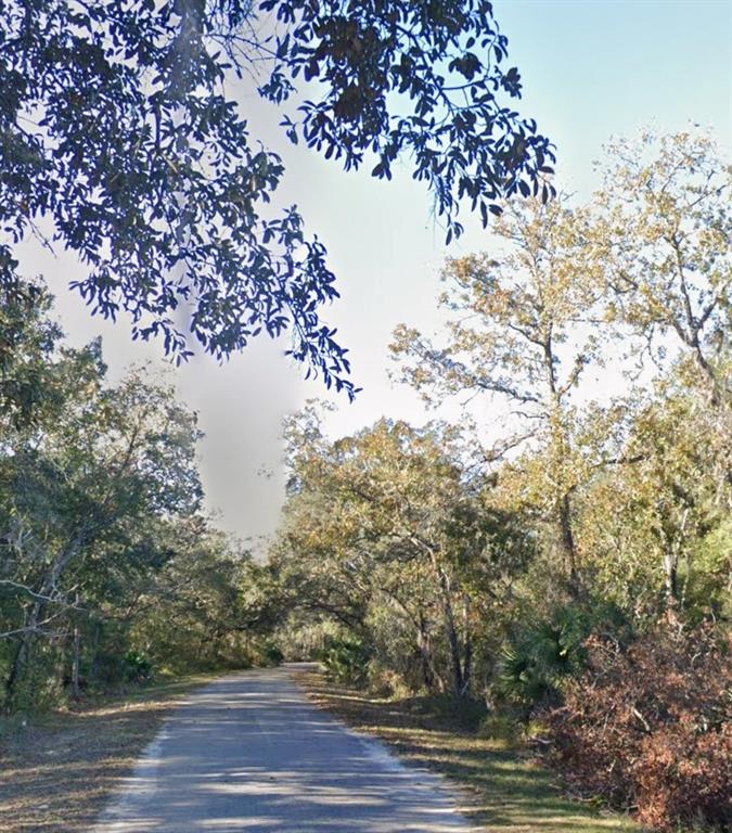 Property for sale at LOT 15 FISHER LN WAY, OCKLAWAHA, FL, 32179
