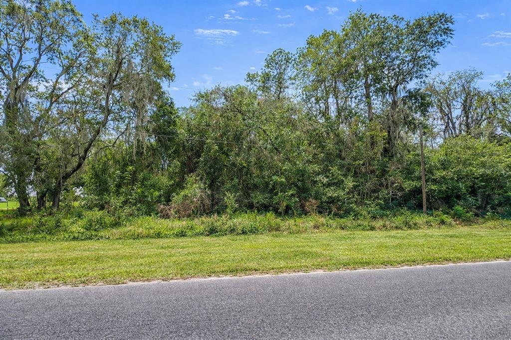 Property for sale at 21103 NE 117TH AVENUE, WALDO, FL, 32694