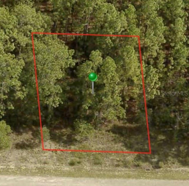 Property for sale at 1233 W RILEY DRIVE, CITRUS SPRINGS, FL, 34434