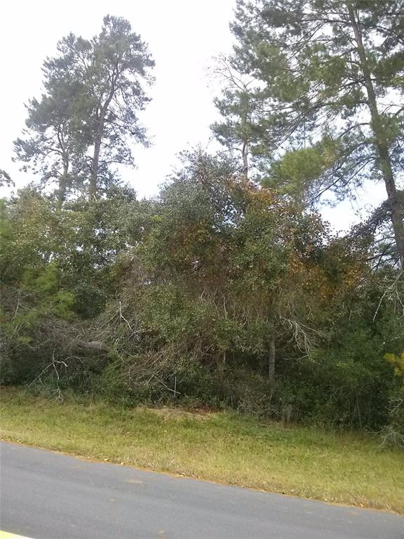Property for sale at 00 MARION OAKS BOULEVARD, OCALA, FL, 34473