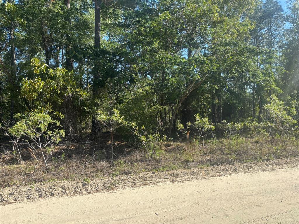 Property for sale at 0000 SW 8TH PLACE, OCALA, FL, 34481