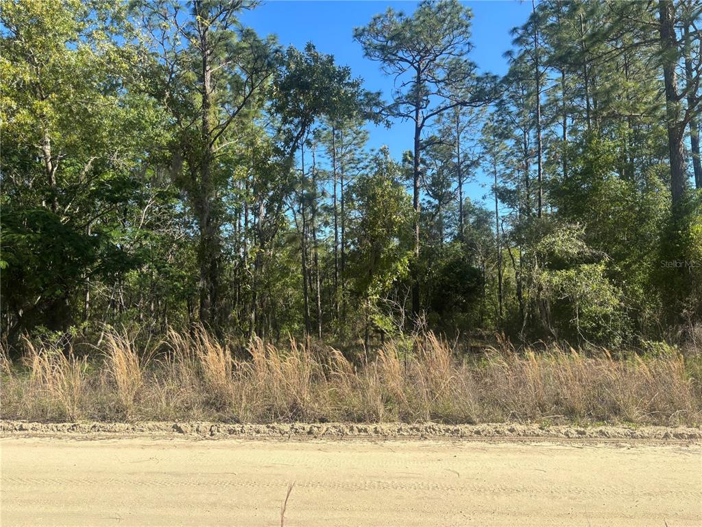 Property for sale at 0000 SW 8TH PLACE, OCALA, FL, 34481