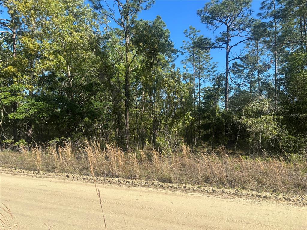 Property for sale at 0000 SW 8TH PLACE, OCALA, FL, 34481