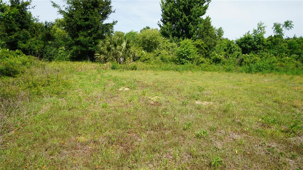Property for sale at MARILYN AVENUE, HOWEY IN THE HILLS, FL, 34737