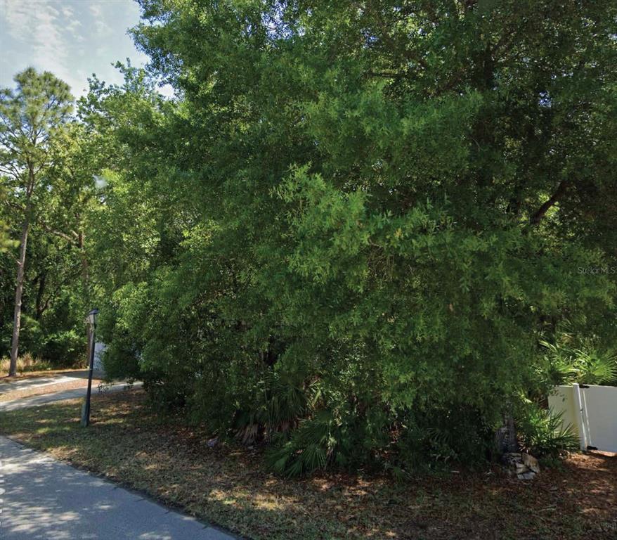 Property for sale at 49 GOLFVIEW DRIVE, HOMOSASSA, FL, 34446