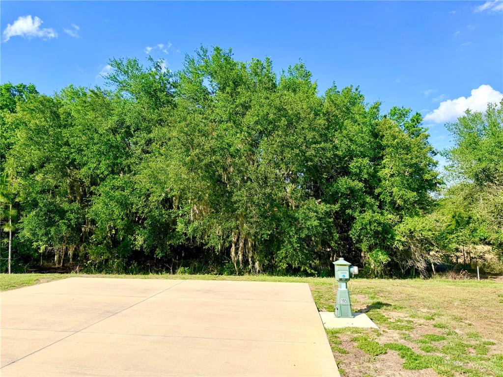 Property for sale at 4933 SE 92ND BOULEVARD, WEBSTER, FL, 33597