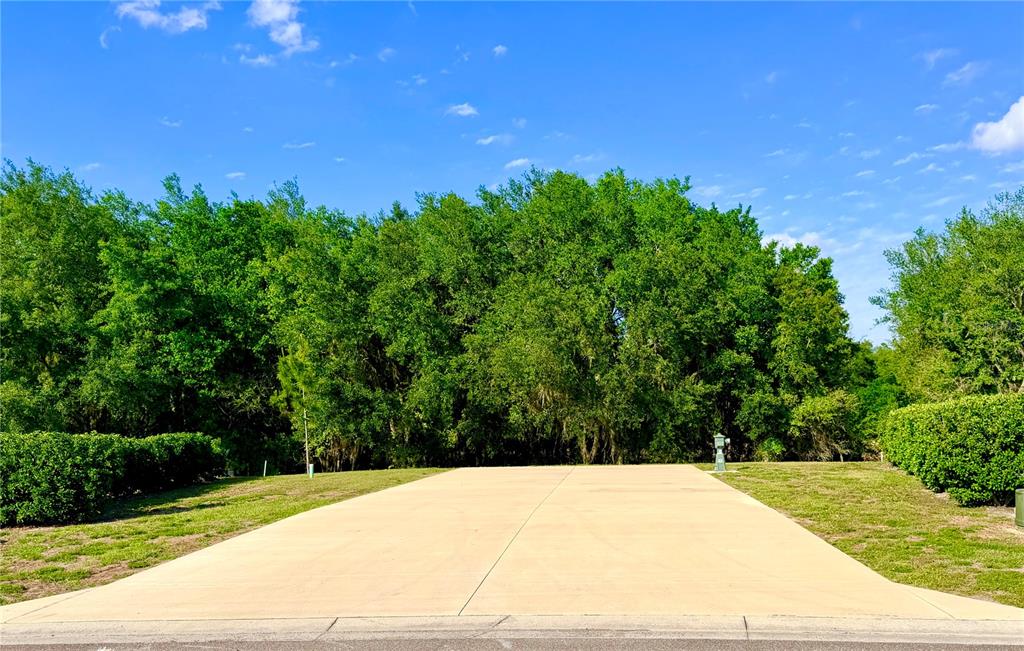 Property for sale at 4933 SE 92ND BOULEVARD, WEBSTER, FL, 33597