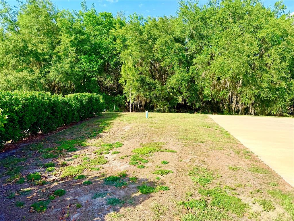 Property for sale at 4933 SE 92ND BOULEVARD, WEBSTER, FL, 33597