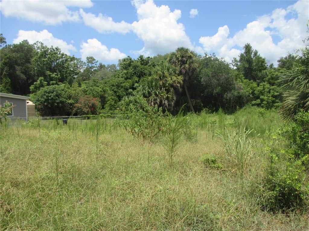 Property for sale at TBD SE 19TH STREET, SILVER SPRINGS, FL, 34488