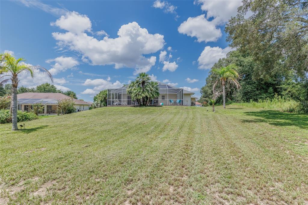 Backyard view