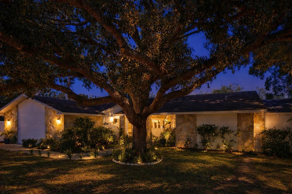 Property for sale at 1307 NORMANDY CIRCLE, PALM HARBOR, FL, 34683