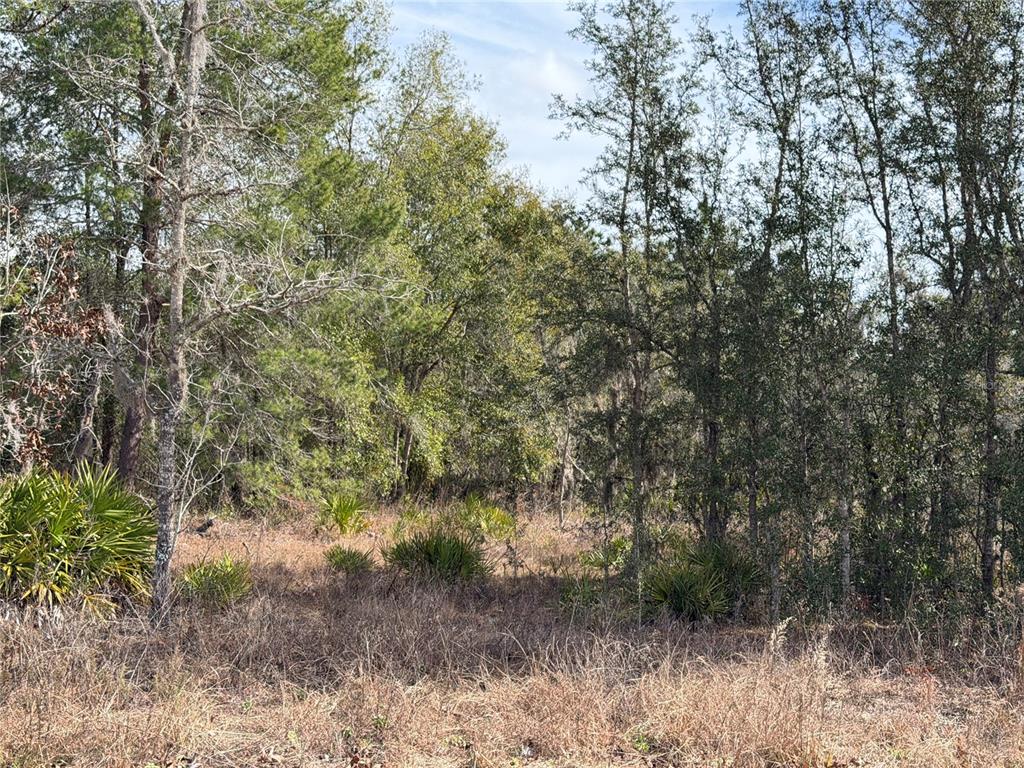 Property for sale at 16426 COURLAN ROAD, BROOKSVILLE, FL, 34614