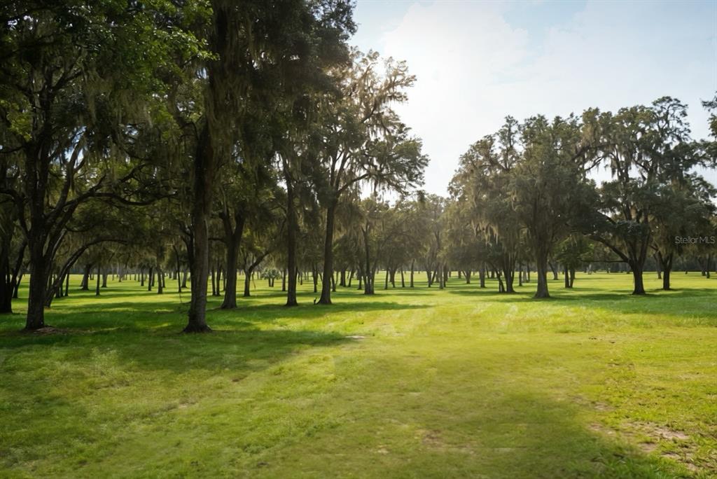 Property for sale at 160TH, REDDICK, FL, 32686