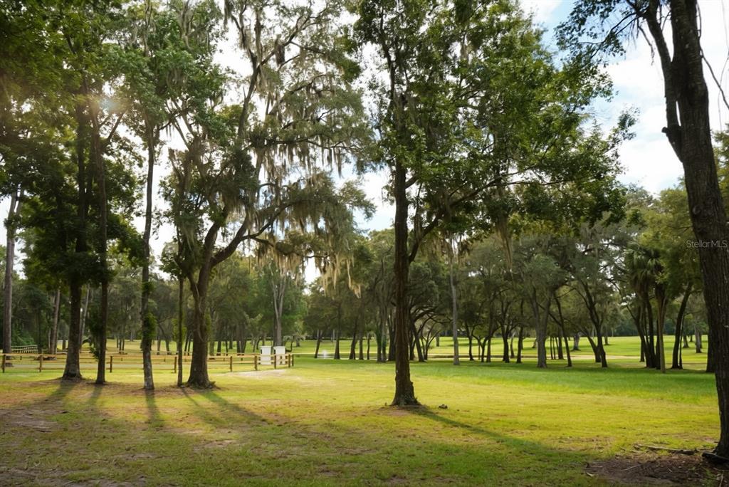Property for sale at 160TH, REDDICK, FL, 32686