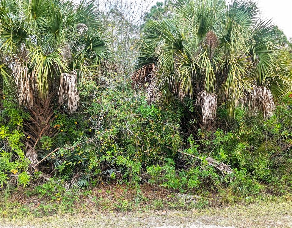 Property for sale at 12885 86TH STREET, FELLSMERE, FL, 32948