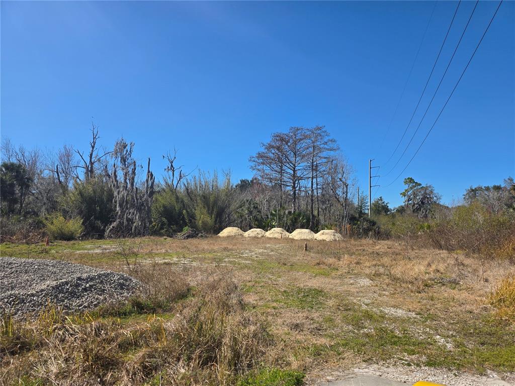 Property for sale at 470 N STATE ROAD 415, OSTEEN, FL, 32764