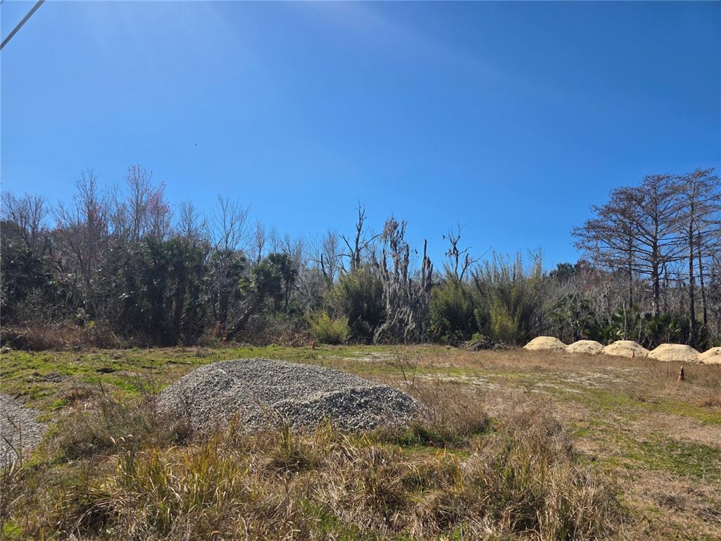 Property for sale at 470 N STATE ROAD 415, OSTEEN, FL, 32764