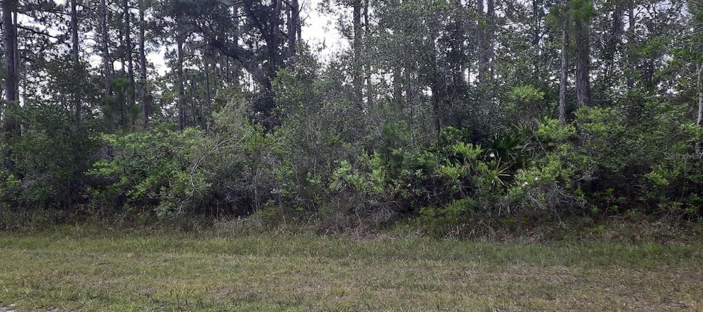 Property for sale at 421 AZALEA DRIVE, INDIAN LAKE ESTATES, FL, 33855