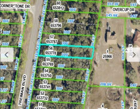 Property for sale at 8086 TREIMAN BLVD BOULEVARD, WEBSTER, FL, 33597
