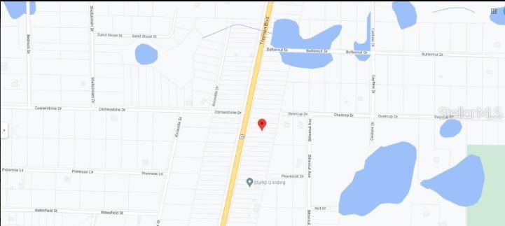 Property for sale at 8086 TREIMAN BLVD BOULEVARD, WEBSTER, FL, 33597