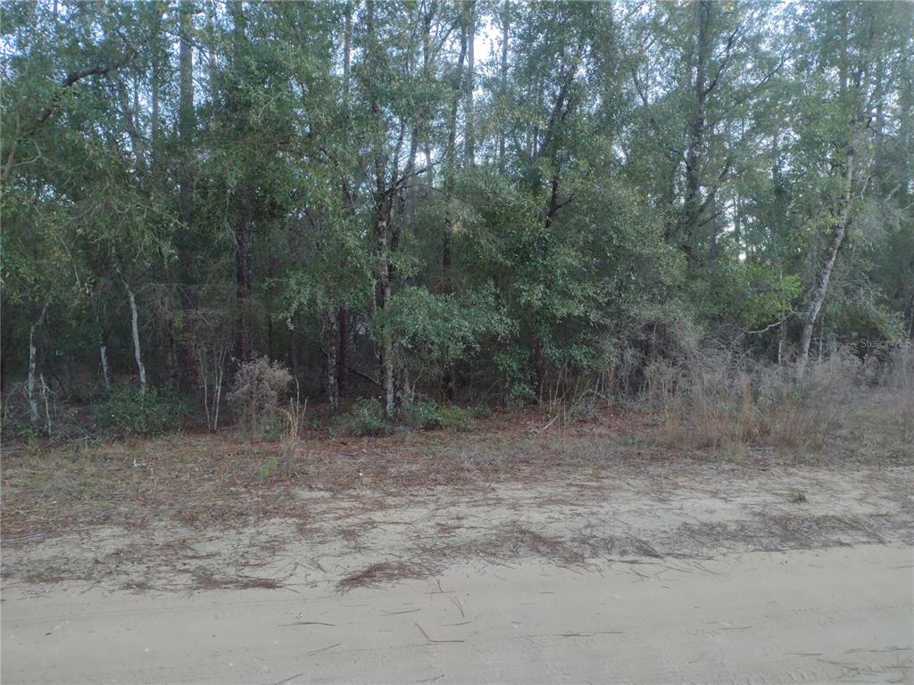 Property for sale at 89 TUCKER LAKE ROAD, MELROSE, FL, 32666