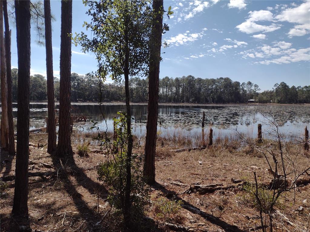 Property for sale at 89 TUCKER LAKE ROAD, MELROSE, FL, 32666