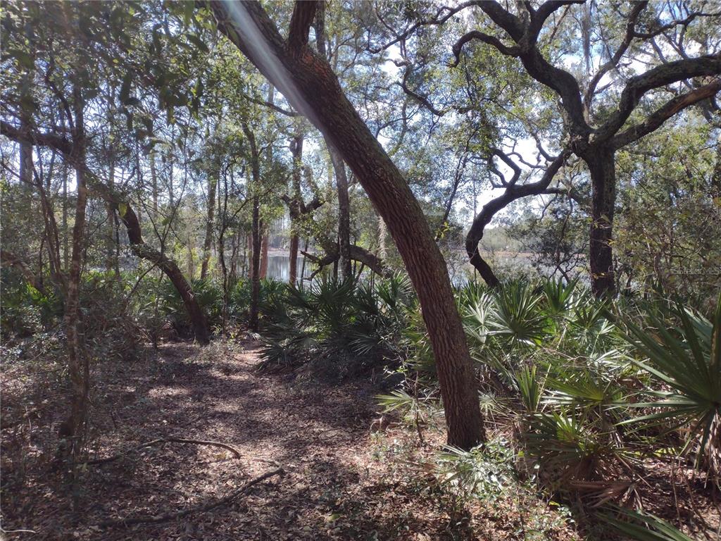 Property for sale at 89 TUCKER LAKE ROAD, MELROSE, FL, 32666