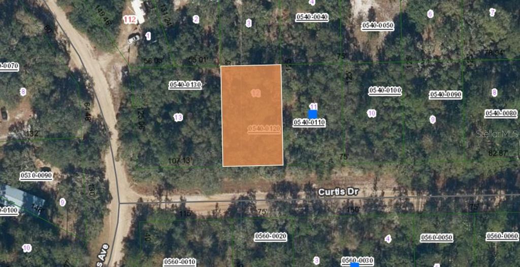 Property for sale at 00 CURTIS DRIVE, INTERLACHEN, FL, 32148