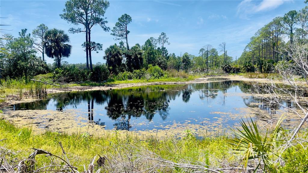 Property for sale at TBD SW 101ST LN, CEDAR KEY, FL, 32625