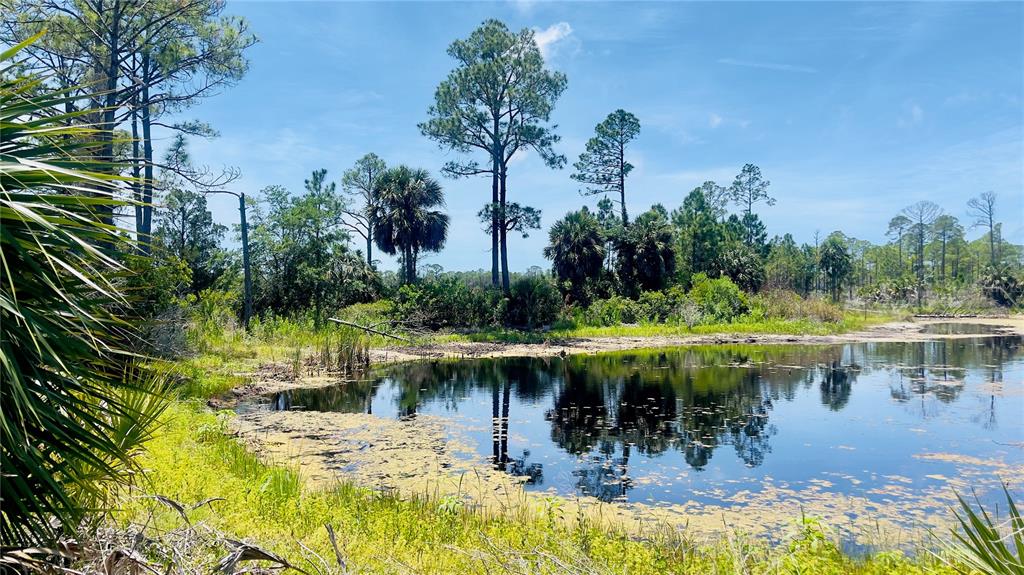 Property for sale at TBD SW 101ST LN, CEDAR KEY, FL, 32625