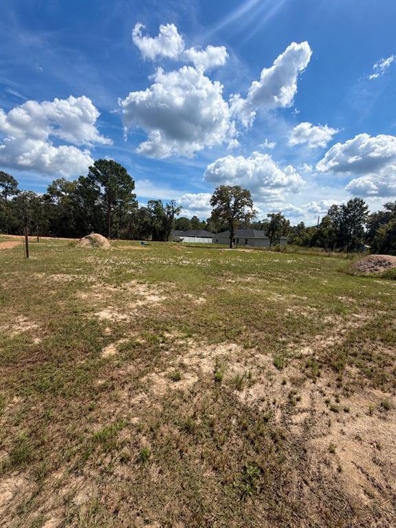 Property for sale at TBD SW 125TH LANE, BELLEVIEW, FL, 34420