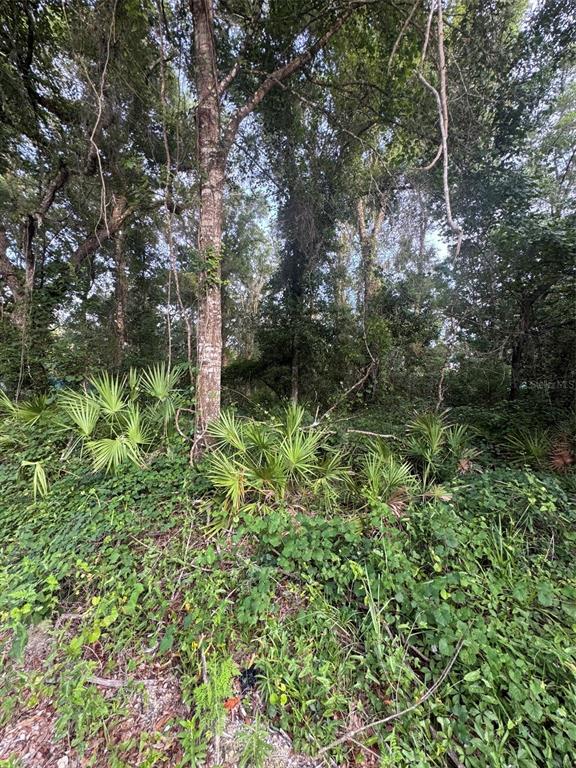 Property for sale at 472 NE AVENUE AVENUE UNIT 200, OLD TOWN, FL, 32680