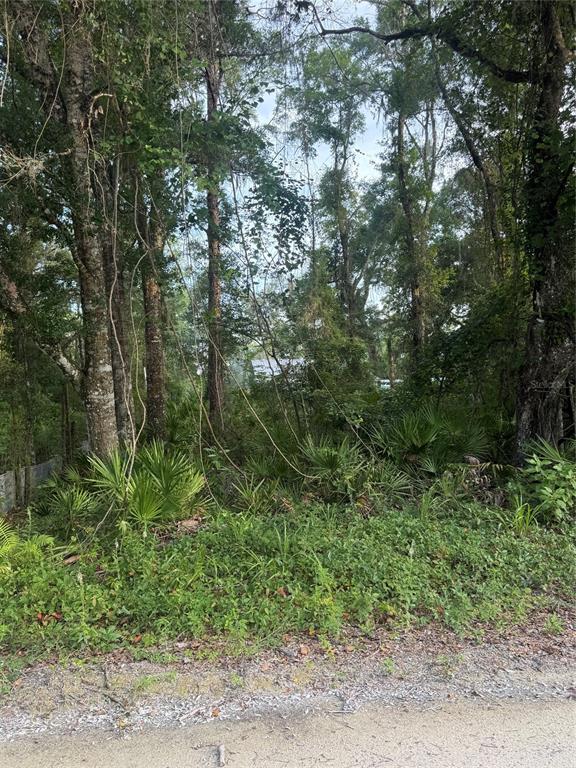Property for sale at 472 NE AVENUE AVENUE UNIT 200, OLD TOWN, FL, 32680