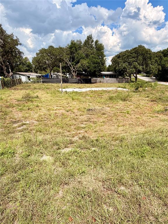 Property for sale at 18351 SE 20TH PLACE, SILVER SPRINGS, FL, 34488