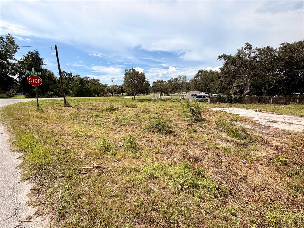 Property for sale at 18351 SE 20TH PLACE, SILVER SPRINGS, FL, 34488