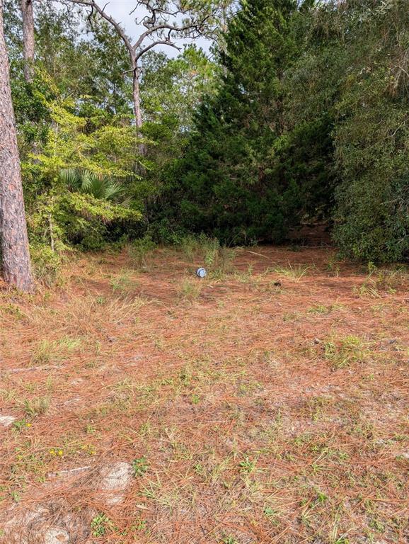 Property for sale at 9115 S SUNCOAST BLVD, HOMOSASSA, FL, 34446
