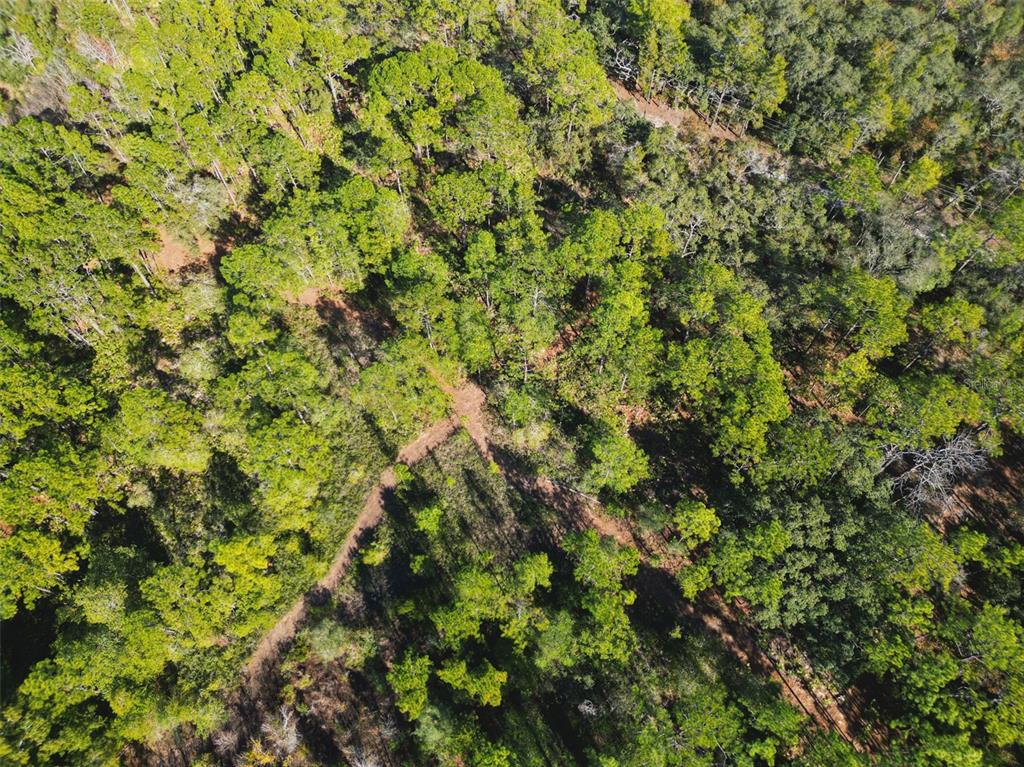 Property for sale at 9115 S SUNCOAST BLVD, HOMOSASSA, FL, 34446
